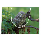 Athene noctua groot cadeauzakje (Voorkant)