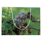 Athene noctua groot cadeauzakje (Achterkant)