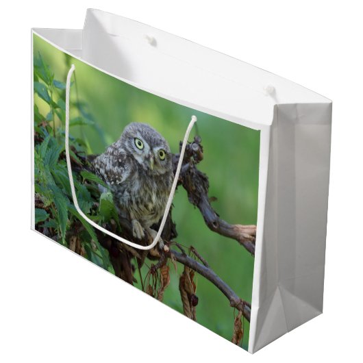 Athene noctua groot cadeauzakje (Voorkant Gekanteld)