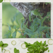 Athene noctua theedoek (Gevouwen)