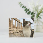 Athens Cat Kitten Acropolois Parthenon Briefkaart (Staand voorkant)