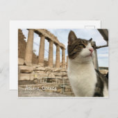 Athens Cat Kitten Acropolois Parthenon Briefkaart (Voorkant / Achterkant)