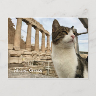 Athens Cat Kitten Acropolois Parthenon Briefkaart