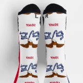 Athletic Crew Sock met vlag van Iowa, VS Sokken (Top)