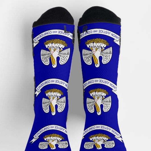 Athletic Crew Sock met vlag van Louisiana, VS Sokken (Top)
