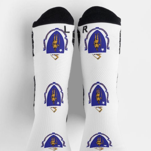 Athletic Crew Sock met vlag van Massachusetts Sokken (Top)
