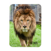 Athos Lion - Magneet (Verticaal)
