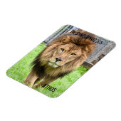 Athos Lion - Magneet (Linkerzijde)