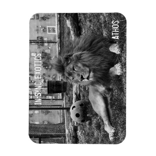 Athos - magneet (Verticaal)