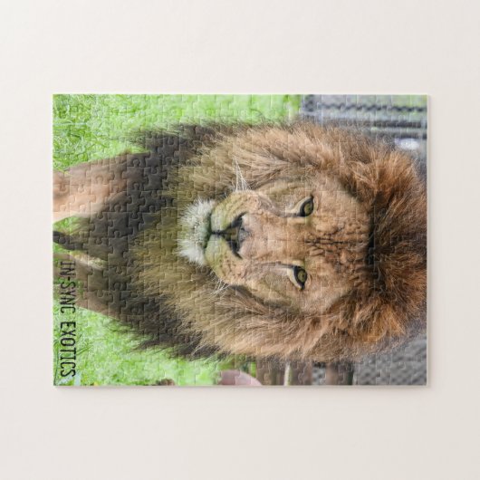 Athos - Puzzle Legpuzzel (Horizontaal)