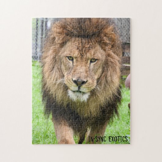 Athos - Puzzle Legpuzzel (Verticaal)