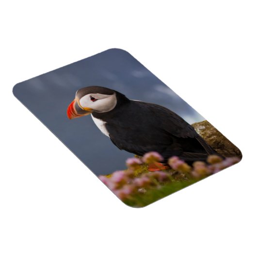 ATL PUFFIN MAGNEET (Rechterzijde)