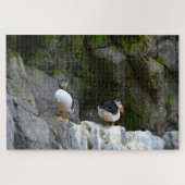 Atlanische Puffins. Legpuzzel (Horizontaal)