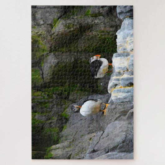 Atlanische Puffins. Legpuzzel (Verticaal)