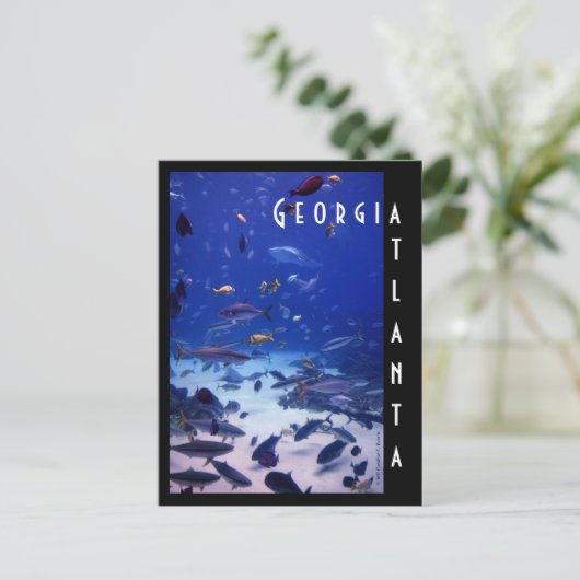 Atlanta Aquarium, Georgia Briefkaart (Staand voorkant)