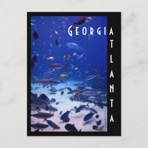 Atlanta Aquarium, Georgia Briefkaart