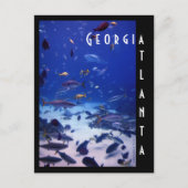 Atlanta Aquarium, Georgia Briefkaart (Voorkant)
