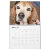 Atlanta Beagle Rescue 2014 Calendar Kalender (Mar 2027)
