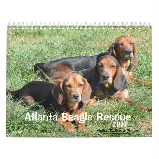Atlanta Beagle Rescue 2016 Calendar Kalender (Hoes)