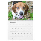 Atlanta Beagle Rescue 2016 Calendar Kalender (Jan 2027)