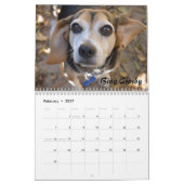 Atlanta Beagle Rescue 2016 Calendar Kalender (Feb 2027)