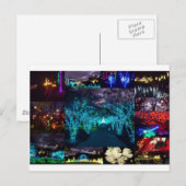 Atlanta Botanical Garden Lights Briefkaart (Voorkant / Achterkant)