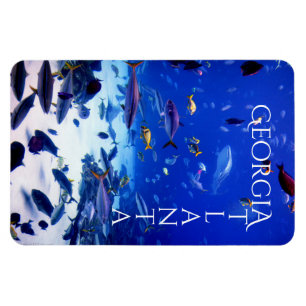 Atlanta Georgia Magneet