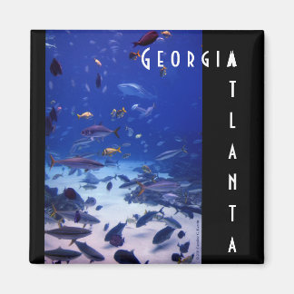 Atlanta Georgia Magneet