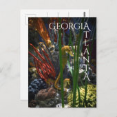 Atlanta Georgia Seapaarden Briefkaart (Voorkant / Achterkant)