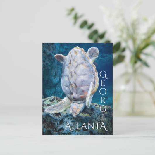 Atlanta Georgia Turtle Dive Briefkaart (Staand voorkant)