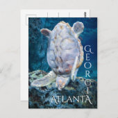 Atlanta Georgia Turtle Dive Briefkaart (Voorkant / Achterkant)