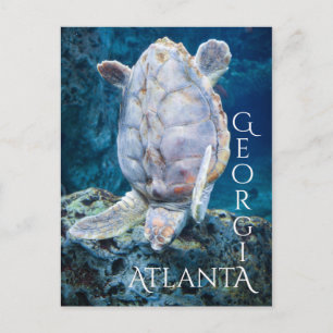 Atlanta Georgia Turtle Dive Briefkaart