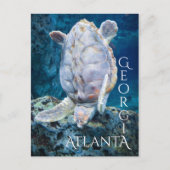 Atlanta Georgia Turtle Dive Briefkaart (Voorkant)