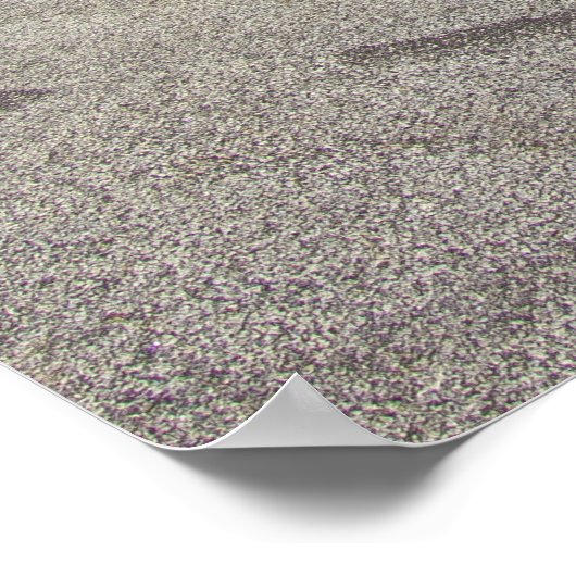 Atlanta Motor Speedway Poster (Hoek)