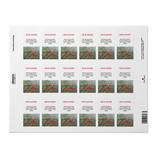 Atlanta We hebben het label verplaatst (Full Sheet)