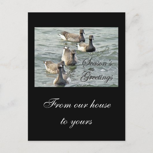 Atlantic Brant Gese Season's Greetings Series Feestdagenkaart (Voorkant)