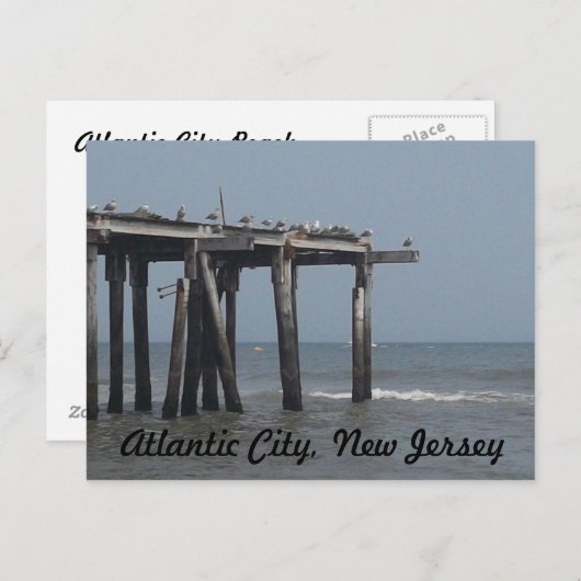 Atlantic City Beach with Birds Briefkaart (Voorkant / Achterkant)