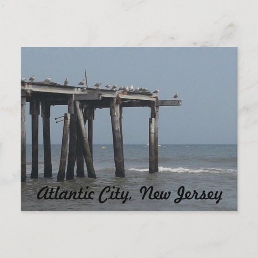 Atlantic City Beach with Birds Briefkaart (Voorkant)