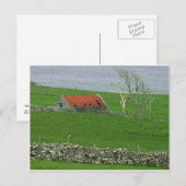 Atlantic Coast Pasture, Ierland Briefkaart (Voorkant / Achterkant)