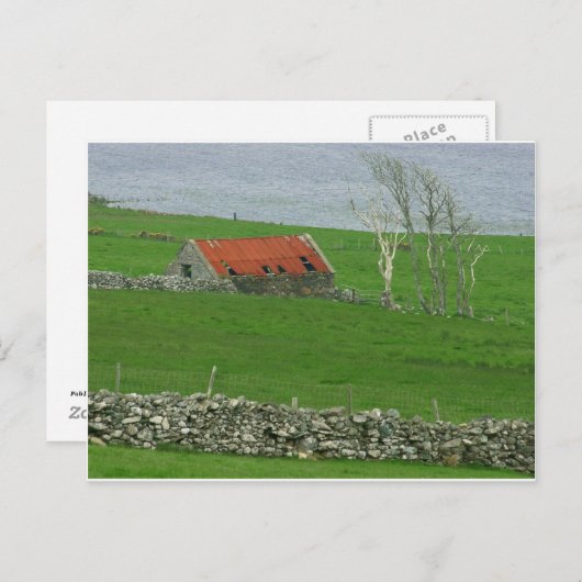 Atlantic Coast Pasture, Ierland Briefkaart (Voorkant / Achterkant)