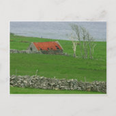Atlantic Coast Pasture, Ierland Briefkaart (Voorkant)