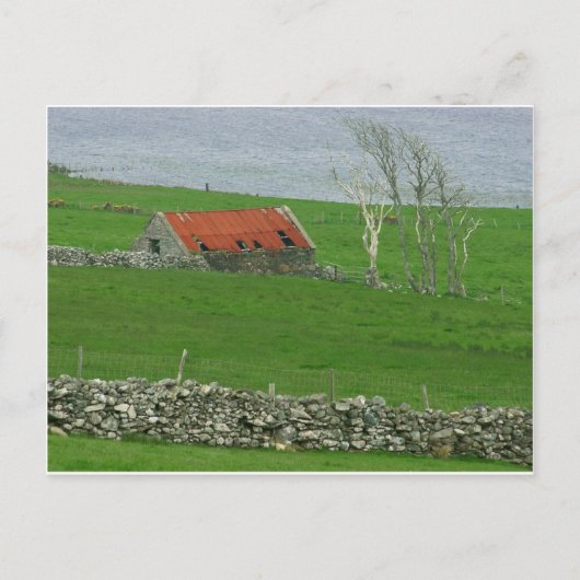 Atlantic Coast Pasture, Ierland Briefkaart (Voorkant)