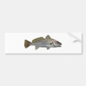 Atlantic Croaker Bumpersticker (Voorkant)