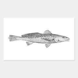 Atlantic Croaker Illustratie Rechthoekige Sticker