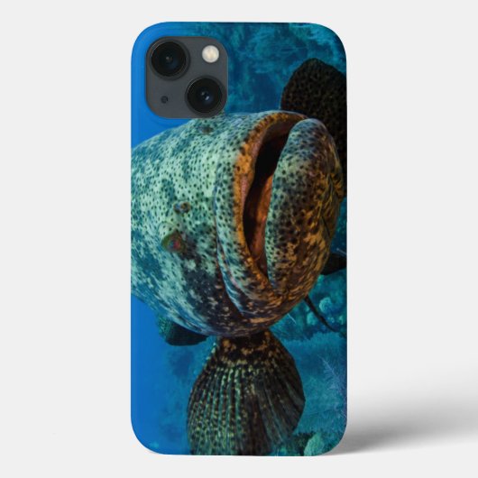 Atlantic Goliath Grouper Case-Mate iPhone Case (Achterkant)