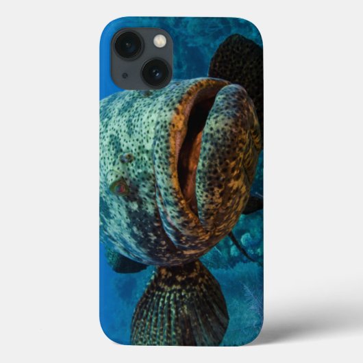 Atlantic Goliath Grouper Case-Mate iPhone Case (Achterkant)