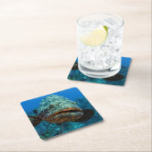 Atlantic Goliath Grouper Kartonnen Onderzetters (Insitu)