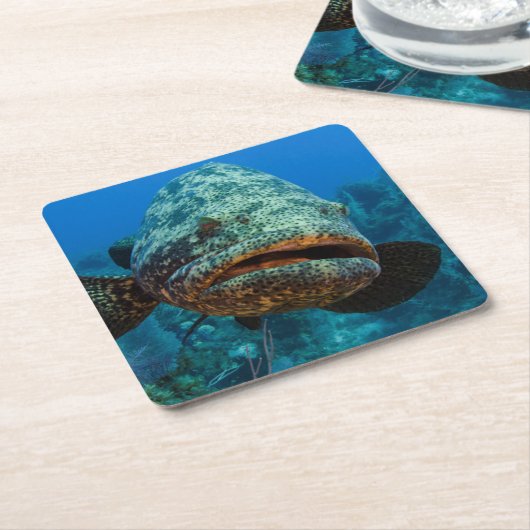 Atlantic Goliath Grouper Kartonnen Onderzetters (Schuin)