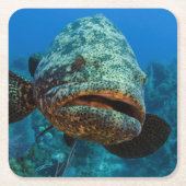 Atlantic Goliath Grouper Kartonnen Onderzetters (Voorkant)