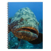 Atlantic Goliath Grouper Notitieboek (Voorkant)